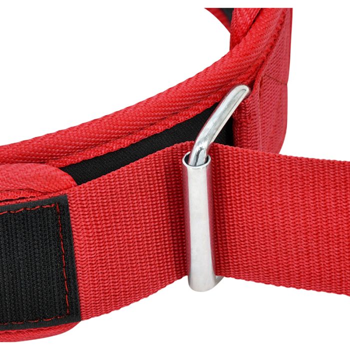 RDX RX5 Ceinture de musculation - Image 50